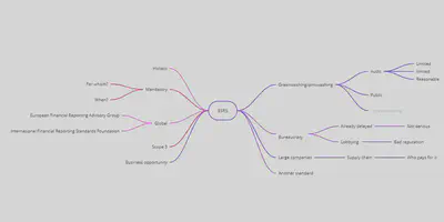 Daniel Antal started with their own subjective mindmap of the introduction of ESRS, aligning some positive thoughts on the left-hand side and sceptical ones on the right-hand side.